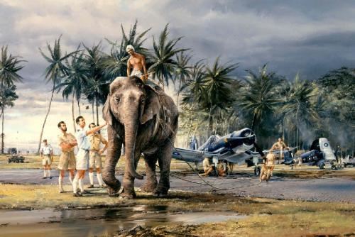 Puttalam Elephants